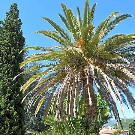 Bed and breakfast Lafabregue 3*