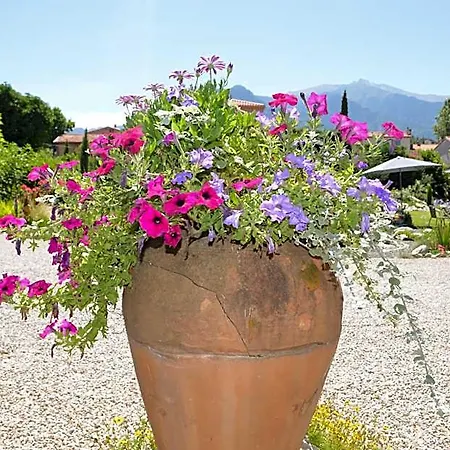 Bed and breakfast Lafabregue 3*