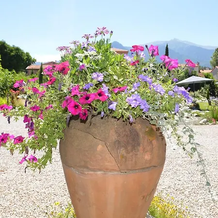 Bed and Breakfast Lafabregue Prades (Pyrenees-Orientales)
