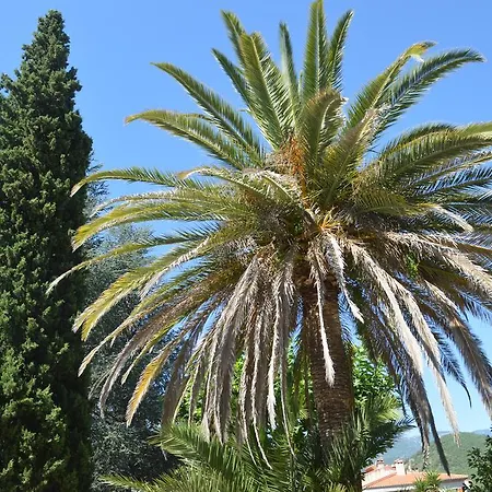 Lafabregue Prades (Pyrenees-Orientales)